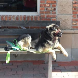 Meet your Posher, Carol